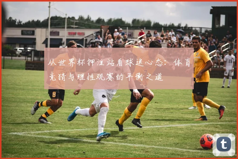 从世界杯押注站看球迷心态：体育竞猜与理性观赛的平衡之道