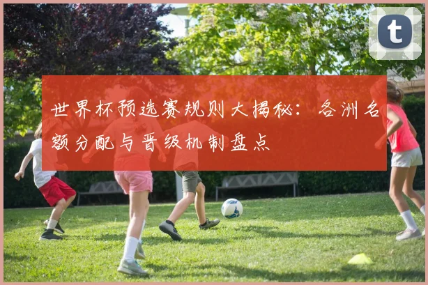 世界杯预选赛规则大揭秘：各洲名额分配与晋级机制盘点