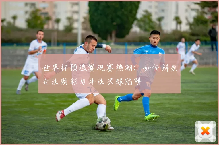 世界杯预选赛观赛热潮：如何辨别合法购彩与非法买球陷阱