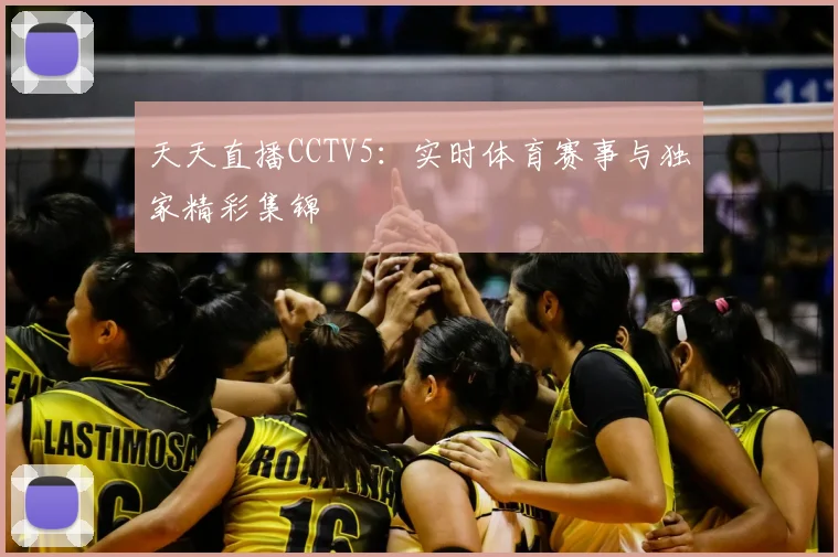 天天直播CCTV5：实时体育赛事与独家精彩集锦
